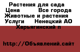 Растения для сада › Цена ­ 200 - Все города Животные и растения » Услуги   . Ненецкий АО,Харьягинский п.